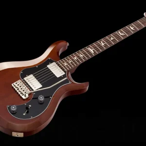 Expédié Aujourd'hui PRS USA S2 Standard 22 Birds SI - Sienna
