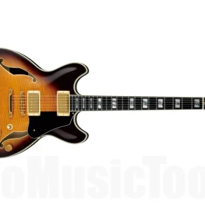 Ibanez JSM100 VT - Vintage Burst - John Scofield Signature Commander Maintenant