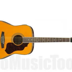 Satisfait Ou Remboursé Ibanez SGT120E ATN - Antique Natural