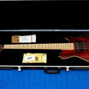 Music Man USA Reflex 5 HSS Bass - 25th Anniversary Limited Edition Offre Spéciale