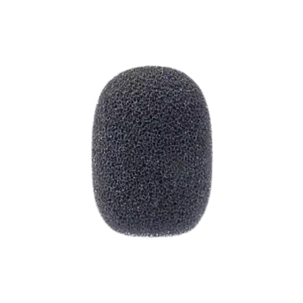 SennheiserMZ 2 Populaire