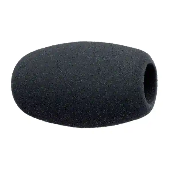 Top Vente SennheiserMZW 1
