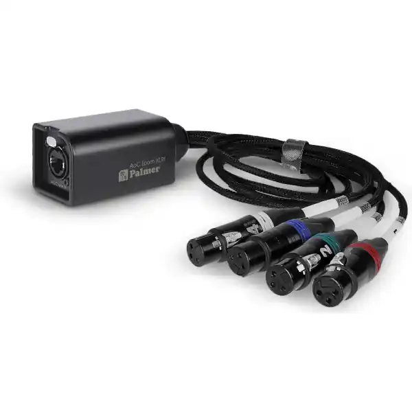 Quantité Limitée PalmerAoC Loom XLRf (0.5m)