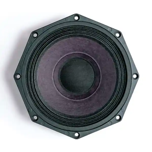 Commander Maintenant B&C Speakers8 PE 21