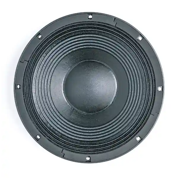 B&C Speakers12 NW 100 Promotion Saisonnière