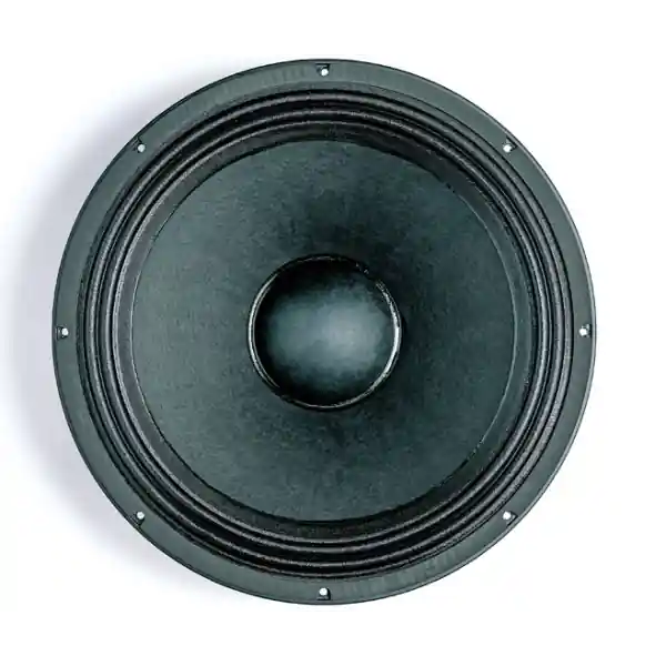 Top Vente B&C Speakers18 PZB 100