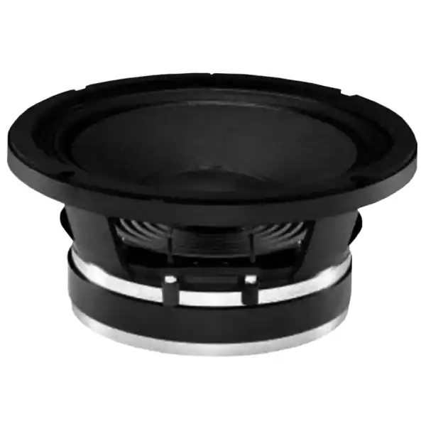 B&C Speakers10PE26 Prix Cassé