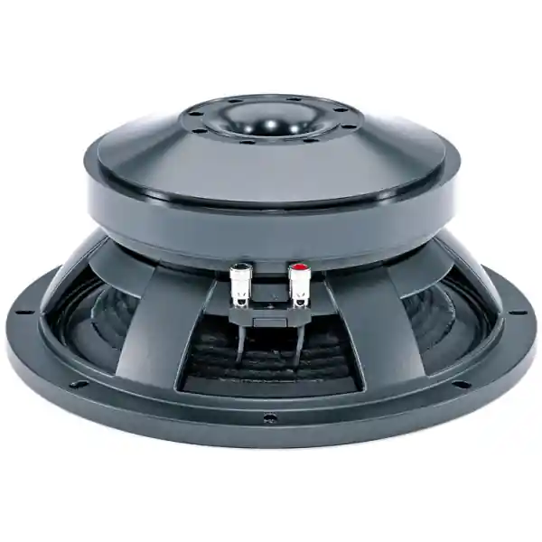 Promotion B&C Speakers12TBX100