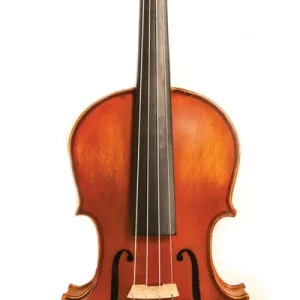 Nouveauté Zev Standard Violin Outfit - 4/4