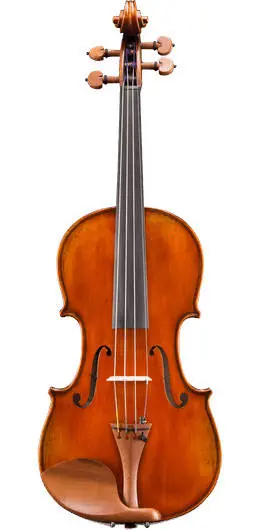 Eastman Strings VL405 Advanced 4/4 Violin Outfit Nouvelle Collection