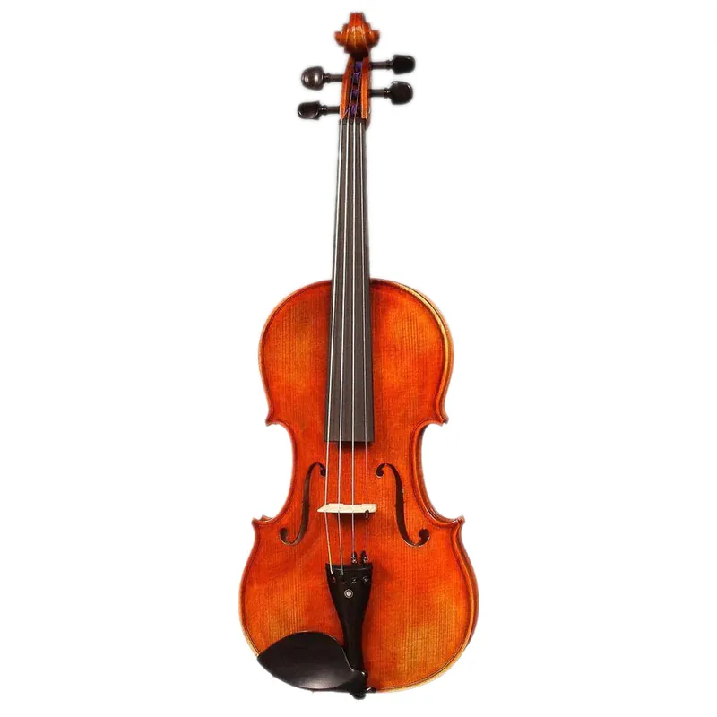 Prix Réduit ARS AM028 4/4 Violin - Flamed Maple, Violin Only