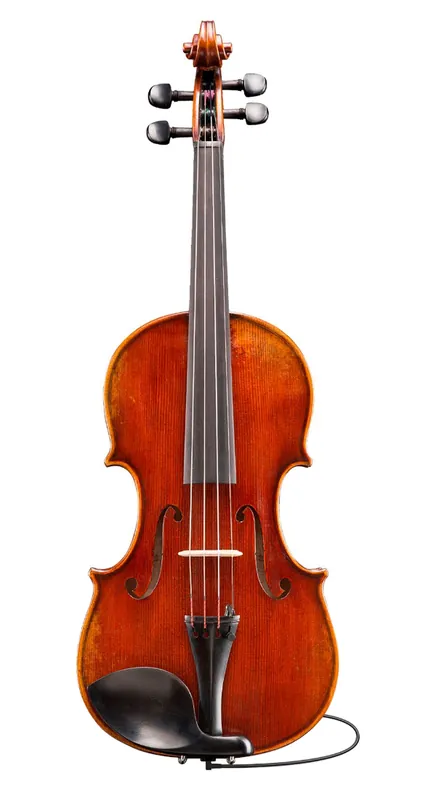 Must-Have Eastman Strings VL701-EAV Electro Acoustic 4/4 Violin with Pernambuco Bow