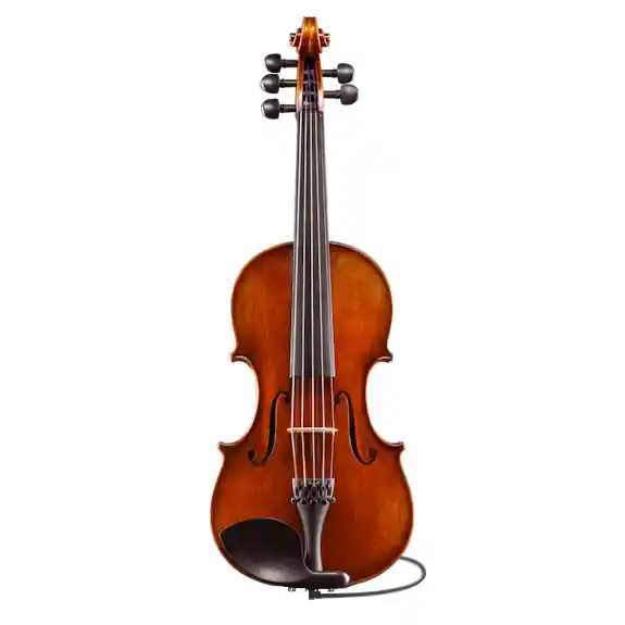 Remise Eastman Strings VL7015+ Rudoulf Doetsch Series+ 5-String Electric/Acoustic Violin with Bow - 4/4