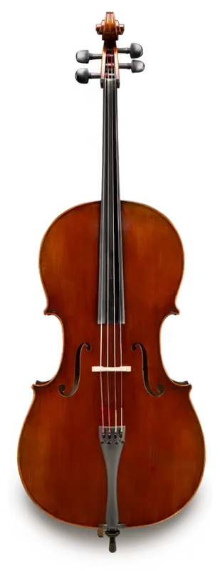 Eastman Strings Doetsch Master Professional 4/4 Cello Outfit Marque