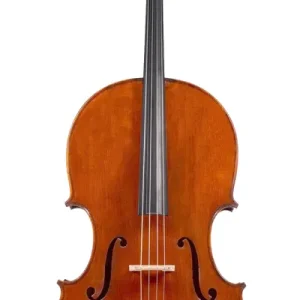 Affaire À Saisir Eastman Strings LMC305 4/4 Cello Outfit with Bag and Carbon Bow - Montagnana