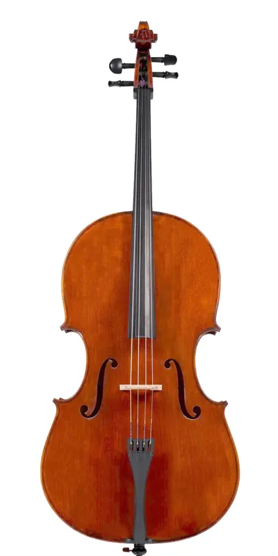 Affaire À Saisir Eastman Strings LMC305 4/4 Cello Outfit with Bag and Carbon Bow - Montagnana