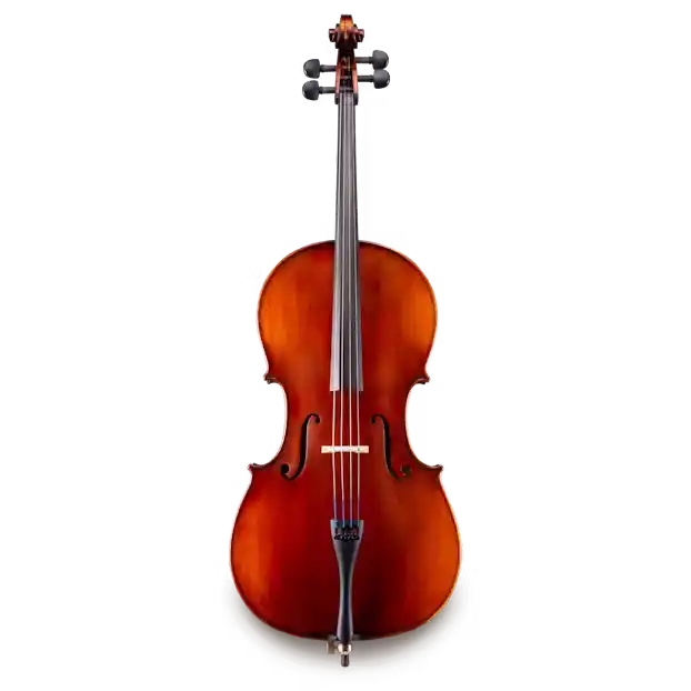 Quantité Limitée Eastman Strings VC95 Carved Top Laminate Cello Outfit - 4/4