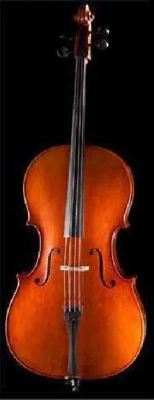 Meilleur Prix Aubert Lutherie Christophe Delange Cello 4/4