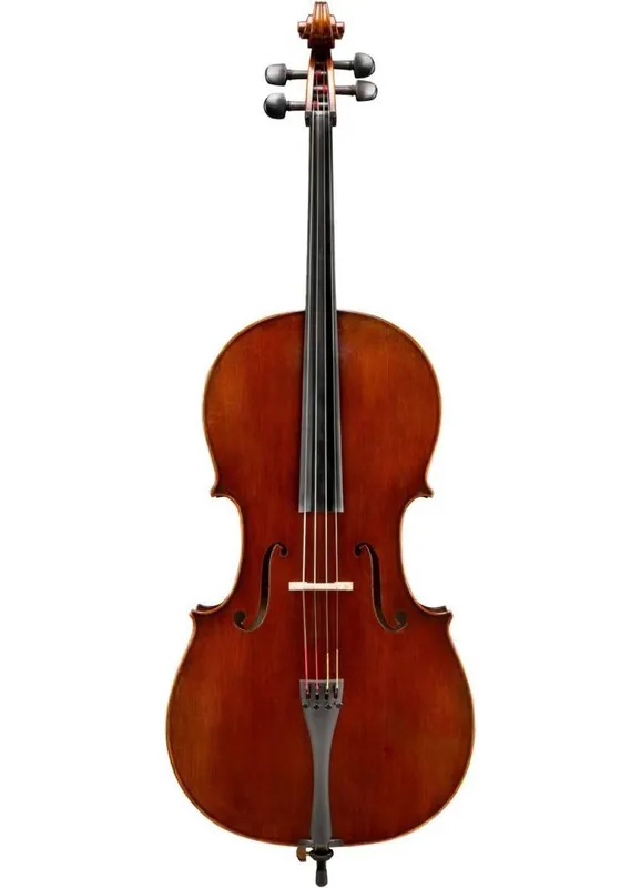 Eastman Strings VC701ST Rudoulf Doetsch Master 4/4 Cello Outfit Expédition Rapide