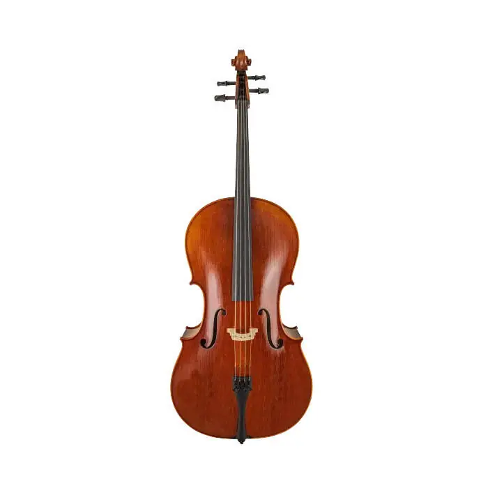 Soldes Scherl & Roth SR65 Step-Up Cello Outfit with Case and Bow - 4/4