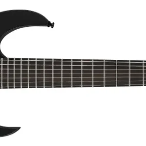 Ibanez RG Iron Label 7-String Electric Guitar - Black Prix Promo