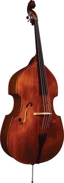 Student Bass Outfit 4/4 Size Promotion