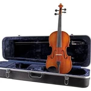 Prix Cassé Eastman Strings VA100ST Viola Outfit 16.5‘‘