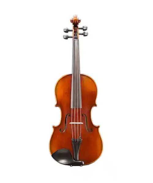Eastman Strings Ivan Dunov Superior VA402 Viola Outfit - 15.5‘‘ Réduction