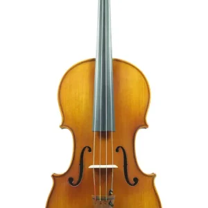 Seulement Aujourd'hui Eastman Strings VA200 Viola Outfit 15.5‘‘
