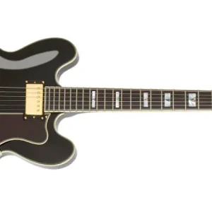 Epiphone Sheraton II Pro - Ebony Dernier Modèle