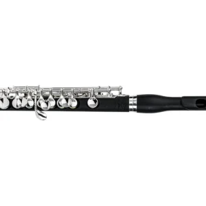 Di Zhao Flutes DZP101 ABS Plastic Piccolo Seulement Aujourd'hui