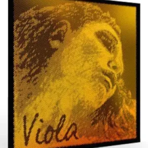 Prix Réduit Pirastro Evah Pirazzi Gold Viola String Set