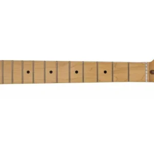Acheter Direct Fender American Professional II Stratocaster Neck, 22 Narrow Tall Frets, 9.5‘‘ Radius, Maple