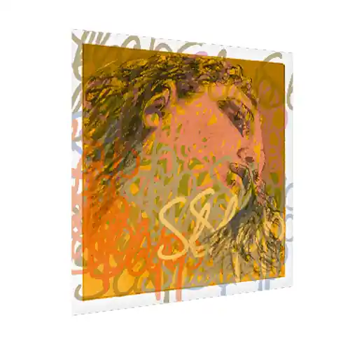 Pirastro Evah Pirazzi Gut/Synthetic Mittel Slap Double Bass Strings - Set Seulement Aujourd'hui