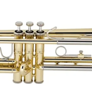 Offre Du Jour Bach TR200 Bb Trumpet w/Case